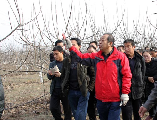 李保國教授主持現場觀摩及現場培訓會